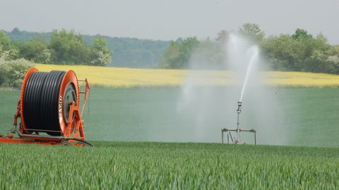 En blé, « c'est la période la plus importante pour les rendements à venir », note Robin Lachaux. (©Terre-net Média) En blé, « c'est la période la plus importante pour les rendements à venir », note Robin Lachaux. (©Terre-net Média)