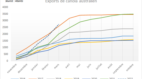 L'Australie enregistre une cadence d'export très soutenue. L'Australie enregistre une cadence d'export très soutenue.