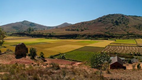 Plus d'un demi-million de personnes ont du faire face à l'insécurité alimentaire en 2021, notamment à Madagascar (photo), au Soudan et en Éthiopie (©Pixabay) Plus d'un demi-million de personnes ont du faire face à l'insécurité alimentaire en 2021, notamment à Madagascar (photo), au Soudan et en Éthiopie (©Pixabay)