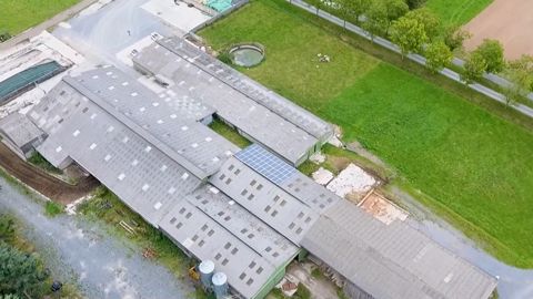 Sur la ferme expérimentale de la Blanche Maison (50), les bâtiments de l'atelier lait devraient évoluer tout en conservant l'existant au maximum. (©Chambre d'agriculture de Normandie) Sur la ferme expérimentale de la Blanche Maison (50), les bâtiments de l'atelier lait devraient évoluer tout en conservant l'existant au maximum. (©Chambre d'agriculture de Normandie)
