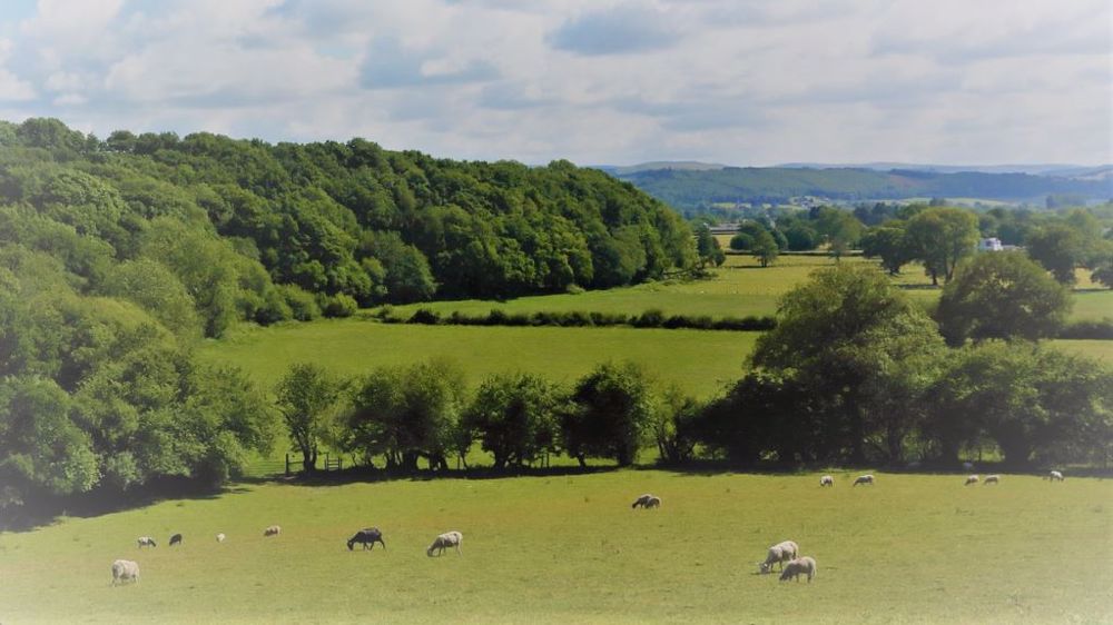 Quelles sont les conditions pour bénéficier du crédit d'impôt à l'agriculture biologique ? (©Pixabay)