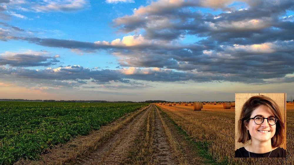 Le chemin de l'installation agricole est parfois long, mais il permet de prendre le temps de réfléchir pour se donner toutes les chances de réussir. (©Pixabay // Facebook)