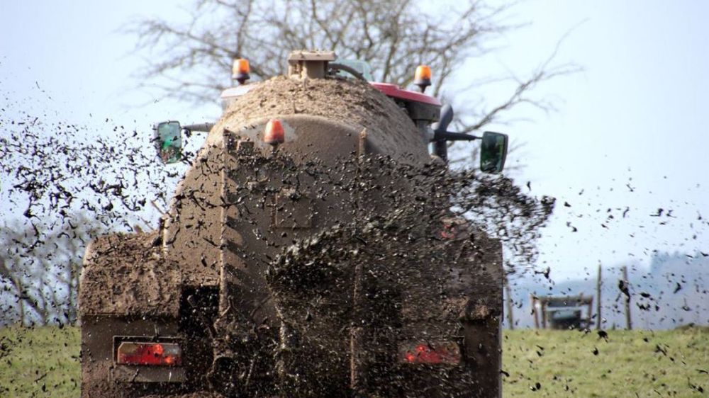 Le stockage des effluents d’élevage en bâtiment et les pertes par épandage représentent chacun 19 % des émissions d’ammoniac.  (©Pixabay)
