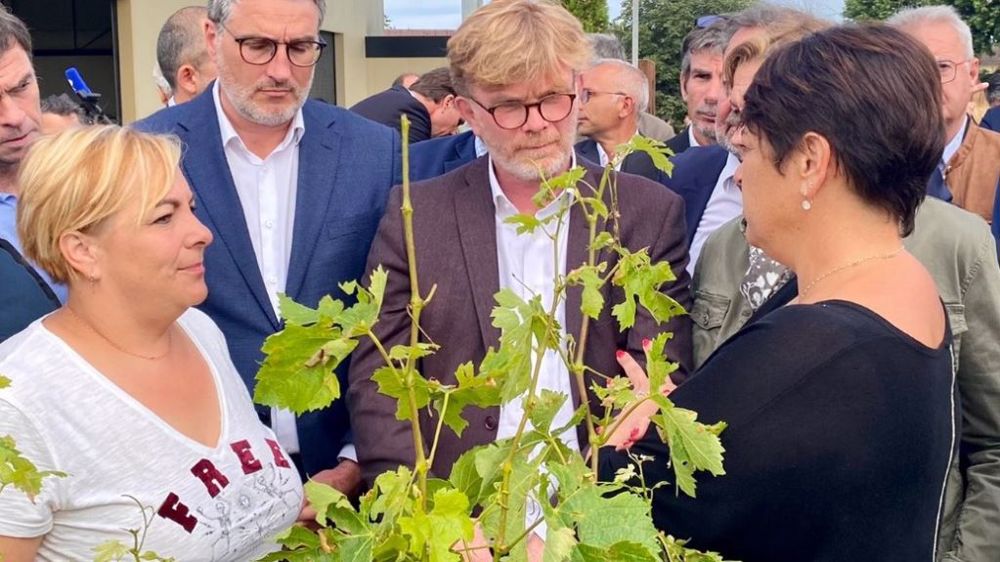 Marc Fesneau, le nouveau ministre de l'agriculture, s'est rendu à Saint-Quentin-de-Caplong, dans l'Est du vignoble bordelais, lundi 6 juin 2022, pour soutenir les viticulteurs et agriculteurs ayant subi d'importants dégâts sur leur exploitation à la suite de l'épisode de grêle.