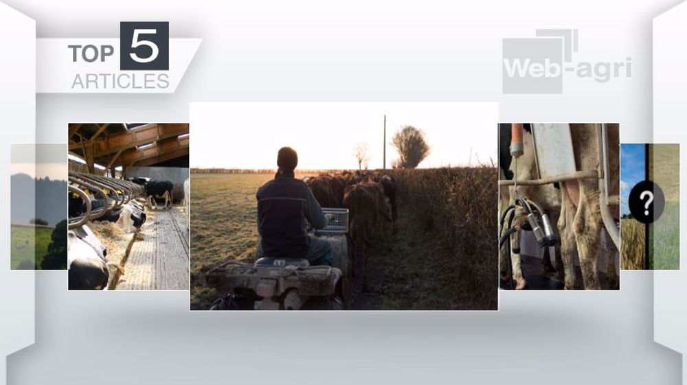 Les cinq articles les plus lus de la semaine sur Web-agri. (©Terre-net Média)
