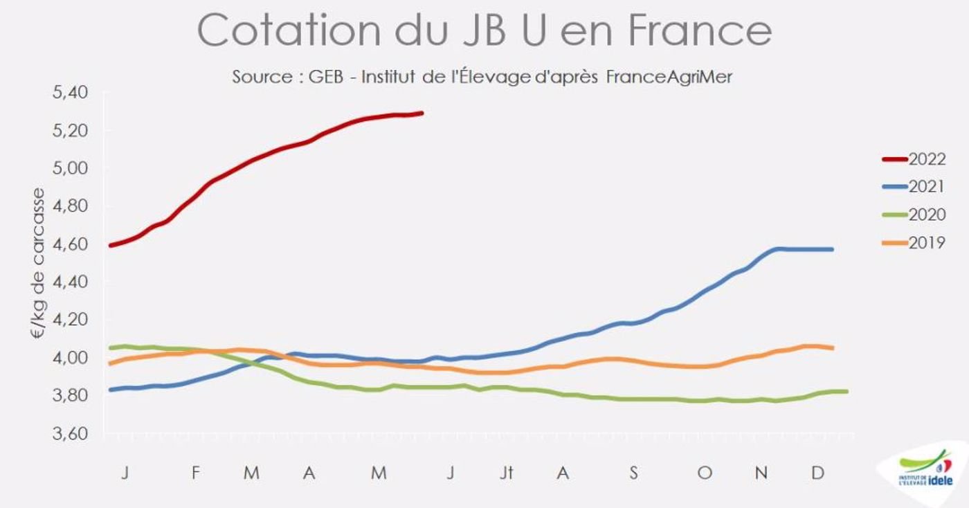 Ralentissement de la hausse des prix de la viande bovine en mai