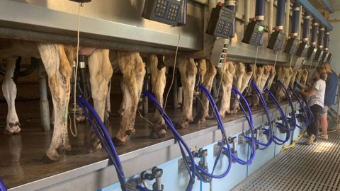 La collecte laitière se rétracte malgré la hausse des prix