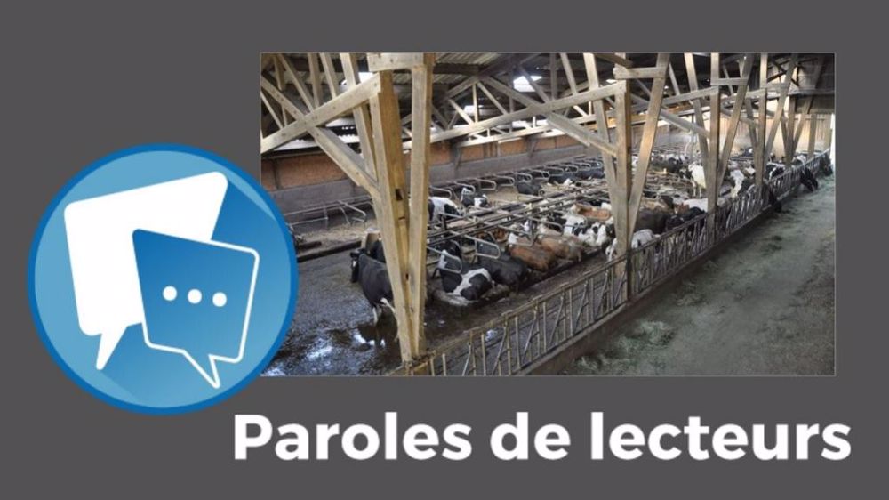  Quel logement pour vos vaches d'ici quelques années ? (©Terre-net Média)
