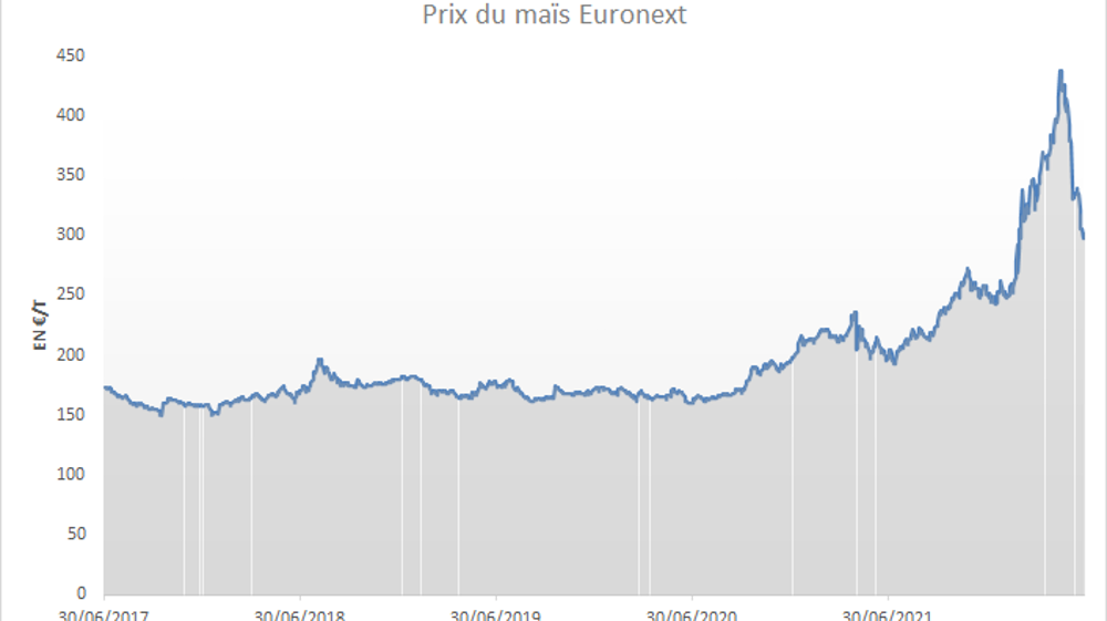 La volatilité du maïs est sans précédent.