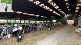 L'audit fait ressortir que « l'EARL est encore plus efficace au litre de lait qu'à la vache ». (©Terre-net Média) L'audit fait ressortir que « l'EARL est encore plus efficace au litre de lait qu'à la vache ». (©Terre-net Média)