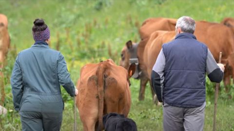 « Un quotidien à part, qui nous rapproche de nos vaches »