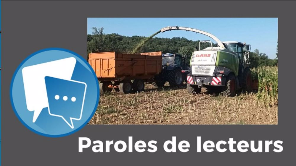 Et vous, c'est pour quand le début des ensilages de maïs ? Dites-le-nous en commentaires sous l'article.<br />(©Terre-net Média)