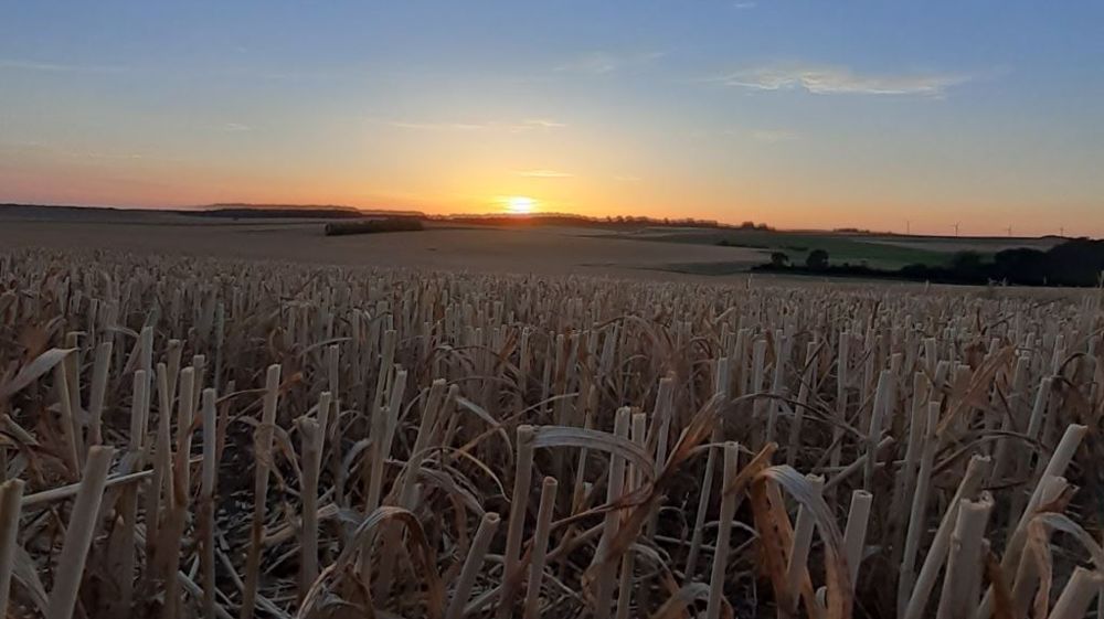 La fin de moisson est déjà sonnée un peu partout en France au 26 juillet. Avec un bilan particulièrement hétérogène. (©@GuyotVincent02)