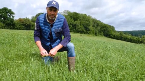 E. Letellier : « Le trèfle dans les prairies, c'est du caviar pour les vaches » E. Letellier : « Le trèfle dans les prairies, c'est du caviar pour les vaches »