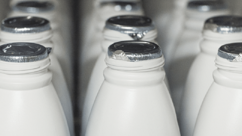 En août, Lactalis maintient les 428,54 €/1000 l en 38/32 En août, Lactalis maintient les 428,54 €/1000 l en 38/32