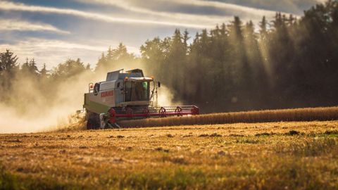 La récolte des céréales à paille a été particulièrement précoce en 2022 (©Pixabay) La récolte des céréales à paille a été particulièrement précoce en 2022 (©Pixabay)