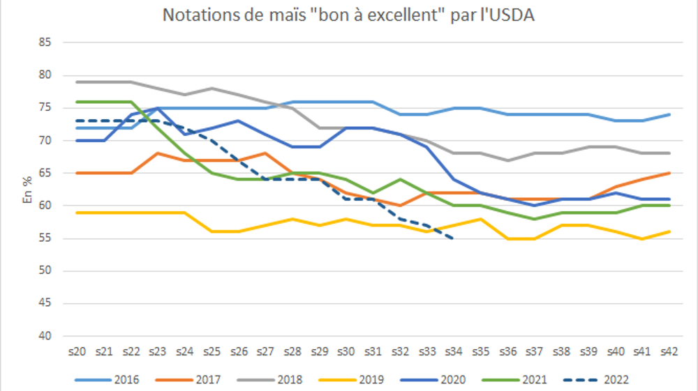 Les notations de maïs américain continuent de se réduire.