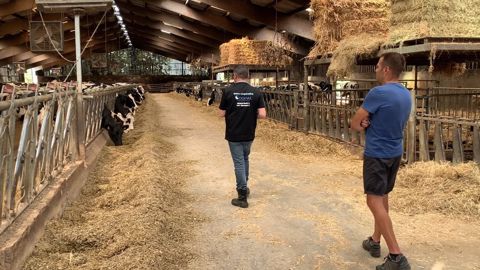 T. Bertot, éleveur laitier (27) a testé l'audit Boviwell de bien-être animal T. Bertot, éleveur laitier (27) a testé l'audit Boviwell de bien-être animal