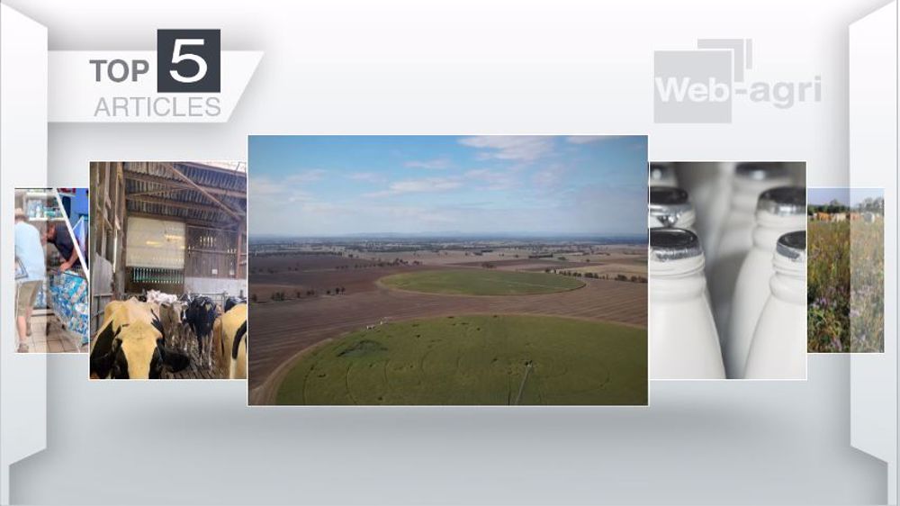 Articles les plus lus sur Web-agri en août (©Terre-net Média)