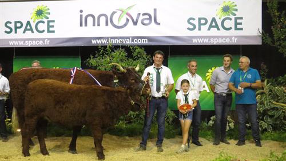 Mylène, meilleur animal du concours Salers (©Space) Mylène, meilleur animal du concours Salers (©Space)