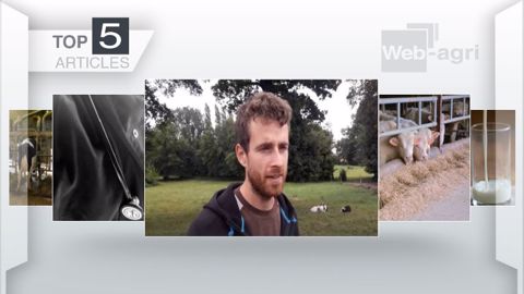 Articles les plus lus sur Web-agri cette semaine. (©Terre-net Média)