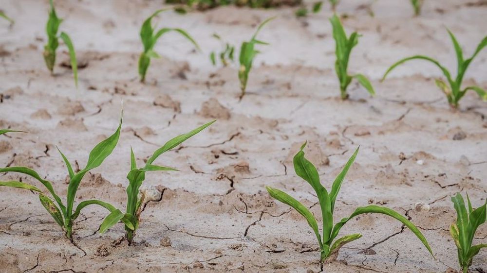 Face à la sécheresse, innover pour transformer notre agriculture