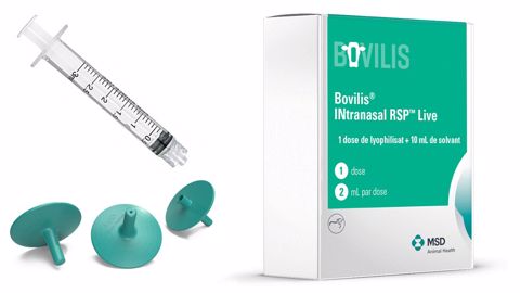 Bovilis intranasal RSP live est le premier vaccin ruminant désormais utilisable dès le premier jour de vie du veau. (©MSD Santé animale) Bovilis intranasal RSP live est le premier vaccin ruminant désormais utilisable dès le premier jour de vie du veau. (©MSD Santé animale)