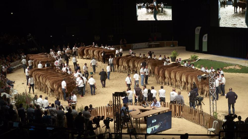 Les concours du Sommet de l'élevage ont lieu dans le Zénith d'Auvergne pour les bovins viande et dans le hall 4 pour les bovins lait. (©Sommet de l'élevage)