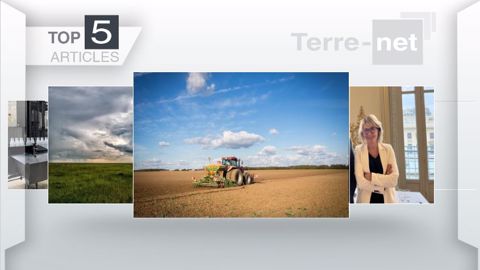 Articles les plus lus sur Terre-net cette semaine. (©Terre-net Média)