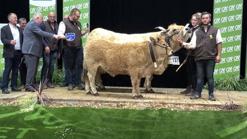 Hirondelle et Nestor s'imposent dans le concours Aubrac Hirondelle et Nestor s'imposent dans le concours Aubrac