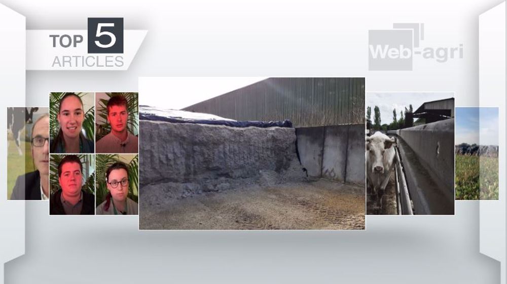 Articles les plus lus sur Web-agri cette semaine. (©Terre-net Média)