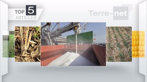 Articles les plus lus sur Terre-net cette semaine. (©Terre-net Média)