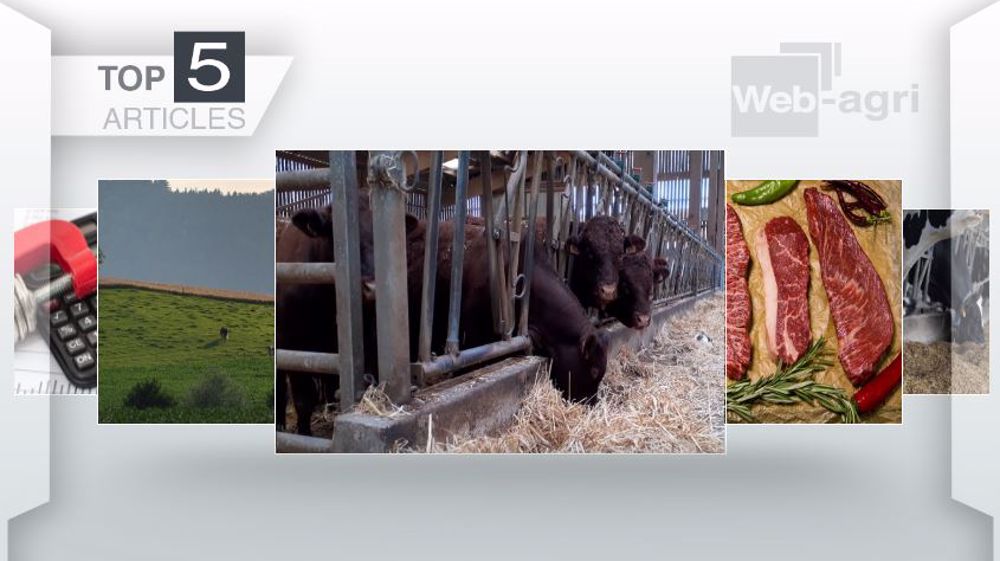 Articles les plus lus sur Web-agri cette semaine. (©Terre-net Média)