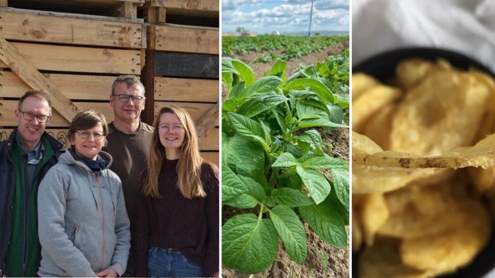 Nicolas, Isabelle, Manon Loingeville et Gauthier Deram vont transformer une partie de leurs pommes de terre en chips. (©Ferme La Bellevue)
