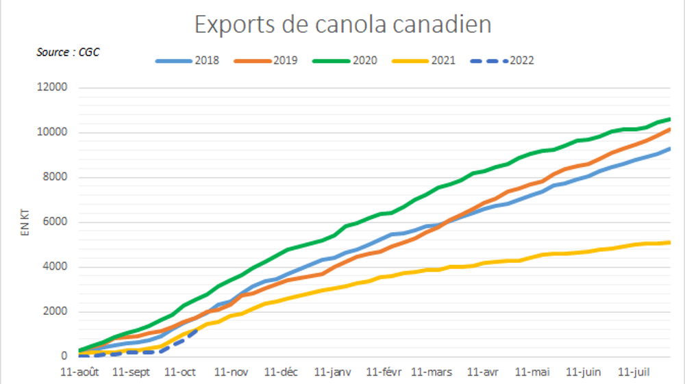 Les exportations de canola canadien enregistrent une vive accélération