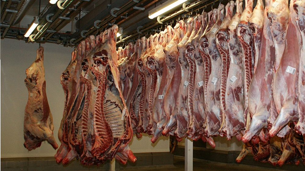 L'éleveur a deux jours pour se rendre à l'abattoir et contester une saisie. (© Terre-net media)