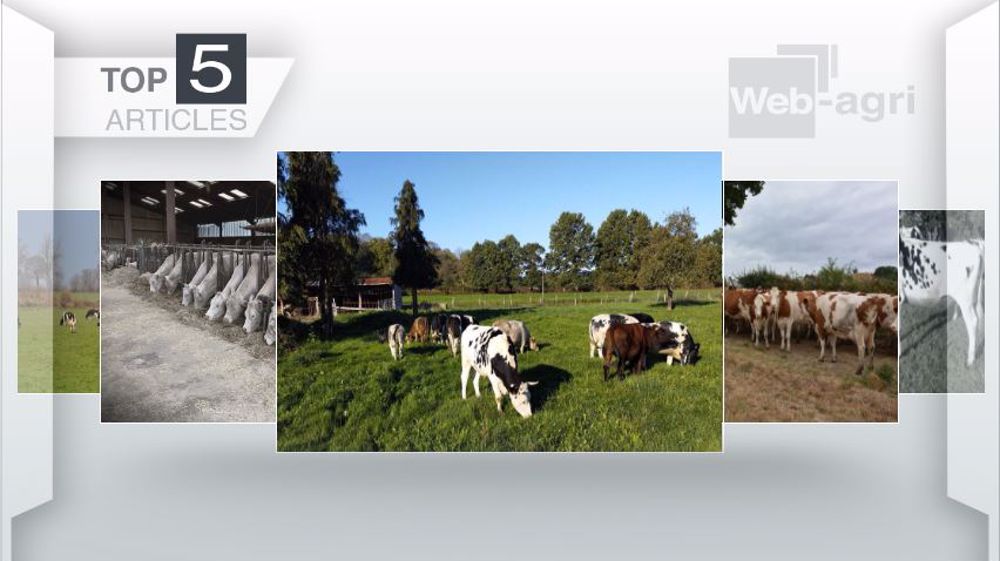 Les cinq articles les plus lus de la semaine sur Web-agri.