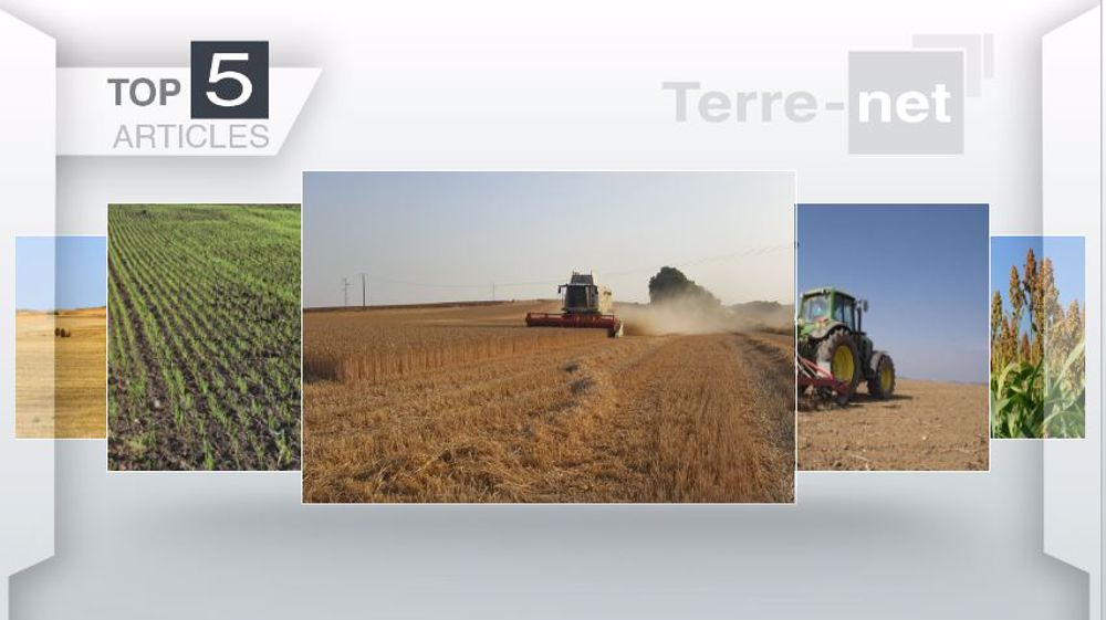 Articles les plus lus sur Terre-net cette semaine. (©Terre-net Média)