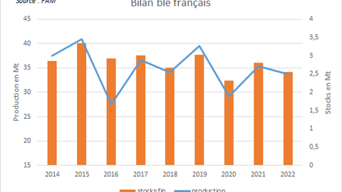 Le potentiel d'exports français est coupé par la compétitivité du blé russe.