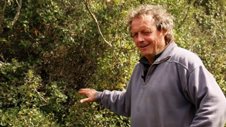 Pâturer les sous-bois pour supporter la sécheresse Pâturer les sous-bois pour supporter la sécheresse