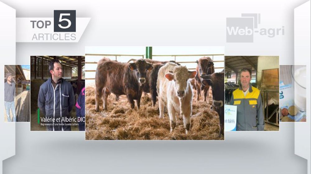 Articles les plus lus sur Web-agri cette semaine. (©Terre-net Média)