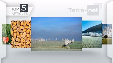 Articles les plus lus sur Terre-net cette semaine. (©Terre-net Média