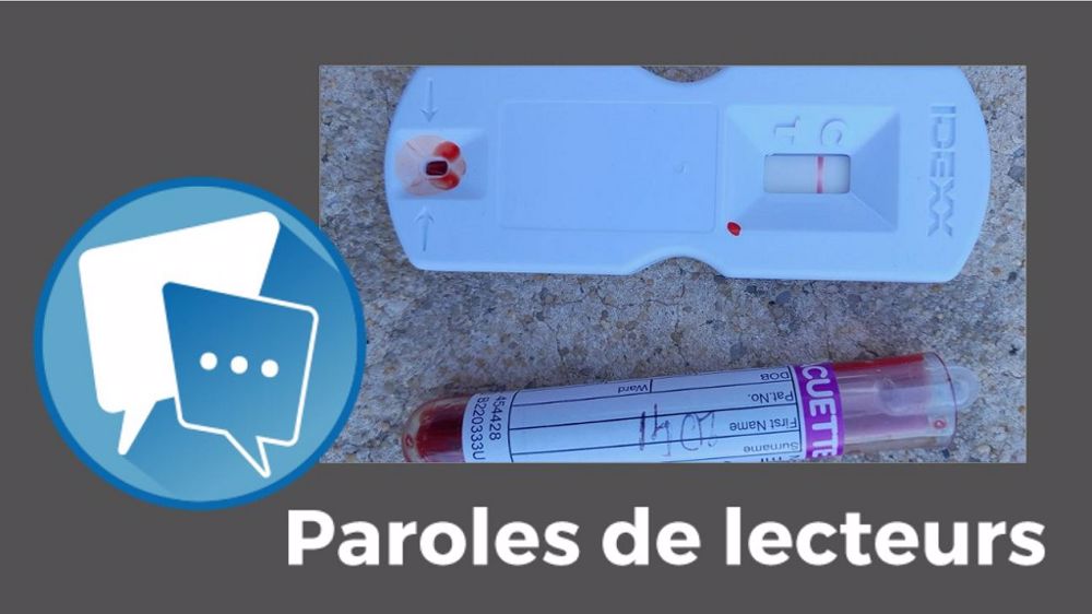 Et vous qu'en pensez-vous ? Dites-le nous en commentaires sous l'article.<br />(© SCEA Dumontroty//Création Terre-net Média)