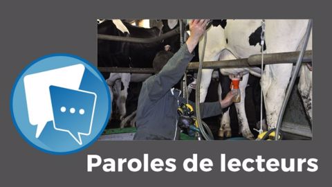 Et vous, jeunes éleveurs, qu'en pensez-vous ? Votre témoignage nous intéresse. (©Création Terre-net Média)