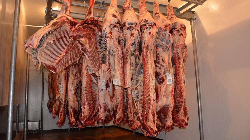 Le FAR correspond à une forme de solidarité entre producteurs pour faire face aux problèmes de saisie. (© Terre-net Média)