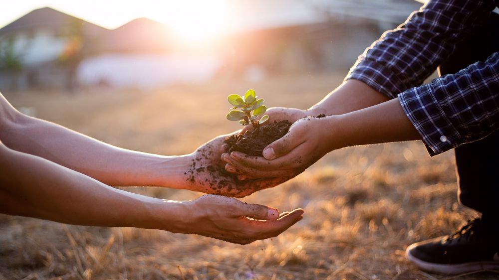 « Nos élèves sont des passionnés ! Ils ont cette graine en eux depuis le plus jeune âge », se félicite Philippe Pinot, directeur du lycée agricole Les Vergers. (©Adobe Stock)