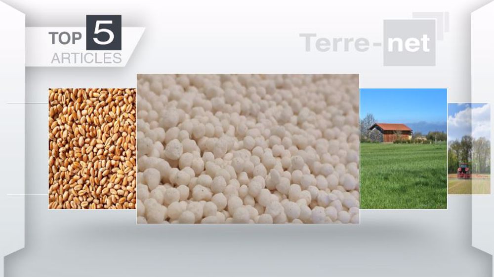 Articles les plus lus sur Terre-net cette semaine. (©Terre-net Média)