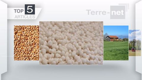 Articles les plus lus sur Terre-net cette semaine. (©Terre-net Média)