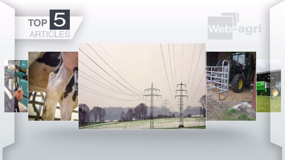 Articles les plus lus sur Web-agri cette semaine. (©Terre-net Média