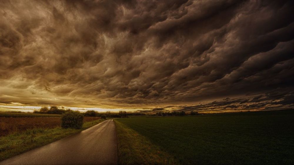 Les agriculteurs européens ont, globalement, une vision de l'avenir plutôt sombre. (©Pixabay)